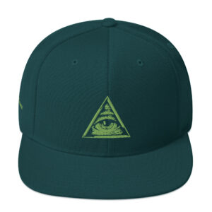All Seen Eye - Snapback Hat